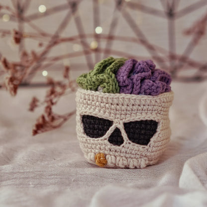 Brainy Skull Coaster set Crochet Pattern
